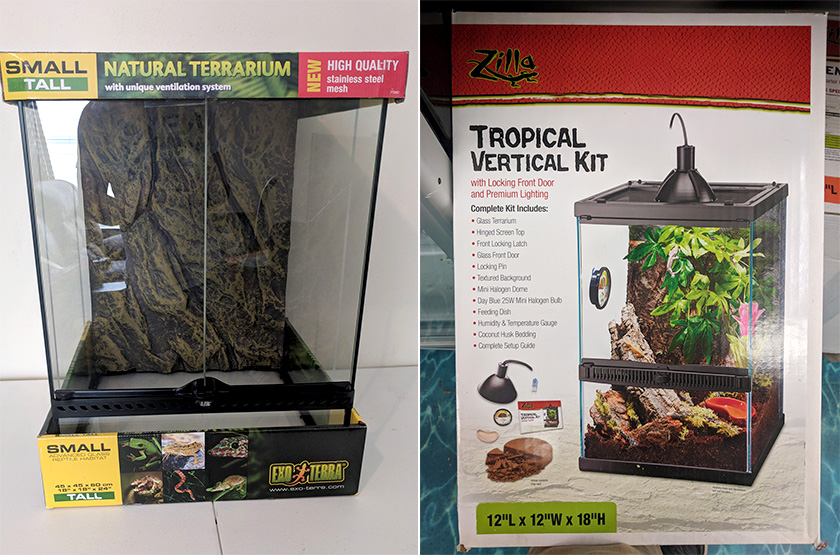 Hướng Dẫn Cách Làm Hồ Cạn Vivarium Nuôi Ếch Cây 1 Hướng Dẫn Cách Làm Hồ Cạn Vivarium Nuôi Ếch Cây