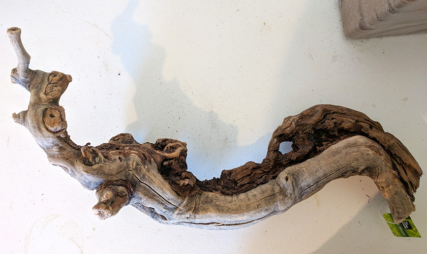Hướng Dẫn Cách Làm Hồ Cạn Vivarium Nuôi Ếch Cây 5 Hướng Dẫn Cách Làm Hồ Cạn Vivarium Nuôi Ếch Cây