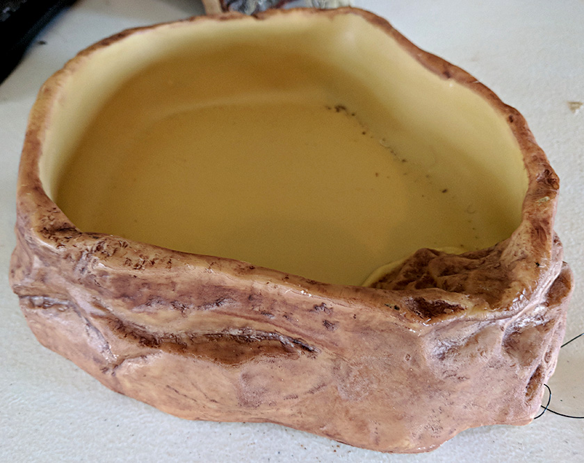 Hướng Dẫn Cách Làm Hồ Cạn Vivarium Nuôi Ếch Cây 7 Hướng Dẫn Cách Làm Hồ Cạn Vivarium Nuôi Ếch Cây