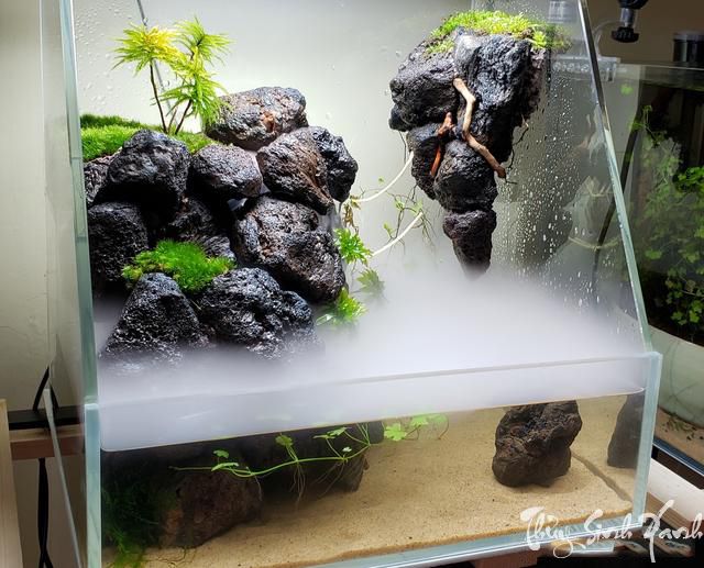 Hướng Dẫn Làm Bể Bán Cạn Mini Với Các Bước Đơn Giản 8 Hướng Dẫn Làm Bể Bán Cạn Mini Với Các Bước Đơn Giản 8