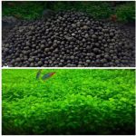 6 Bước làm bể cá thủy sinh mini để bàn đơn giản mà đẹp 2021