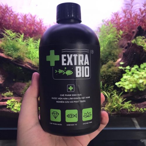 Chế Phẩm Sinh Học EXTRA BIO Làm Trong Nước