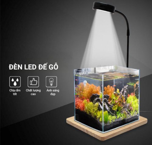 Đèn led đế gỗ 3w,5w,7w,9w cho bể thuỷ sinh , terrarium