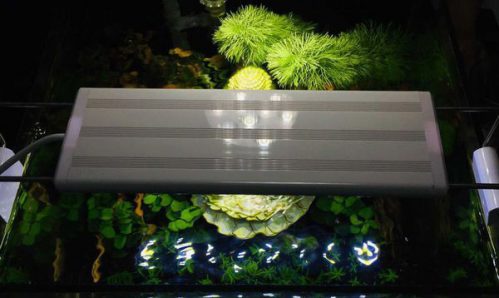 Đèn LED Thủy Sinh Giá Siêu Rẻ