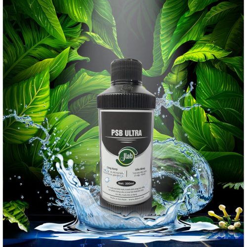 15 Loài cá cảnh nhỏ cho bể cá mini siêu đẹp 2021